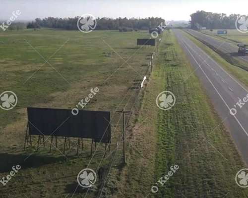 Campo en Venta 106 Has Brandsen. Apto Desarrollo