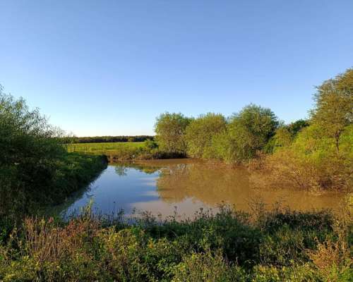 Campo Mixto Agrícola-ganadero en Venta – Dpto. 9 de Julio