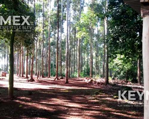 Campo 96 Ha en Campo Grande, Misiones – Yerba Mate y Arroyo
