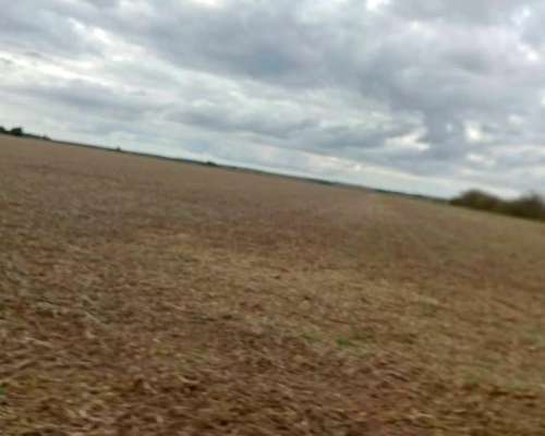 Agricola Oportunidad– Despeñaderos – Córdoba