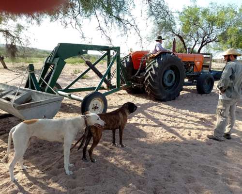 Chamical 8.500 Has Ganaderas