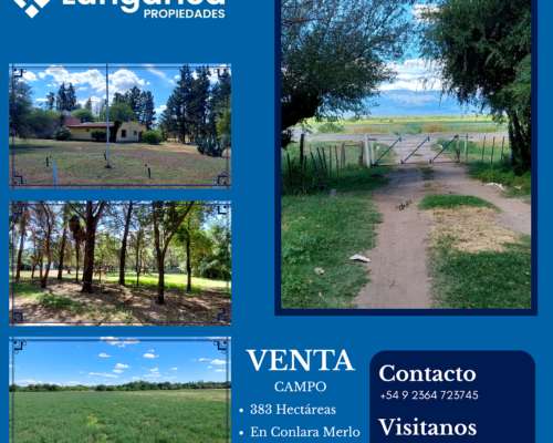 Campo 383 Hectáreas Conlara Merlo San Luis