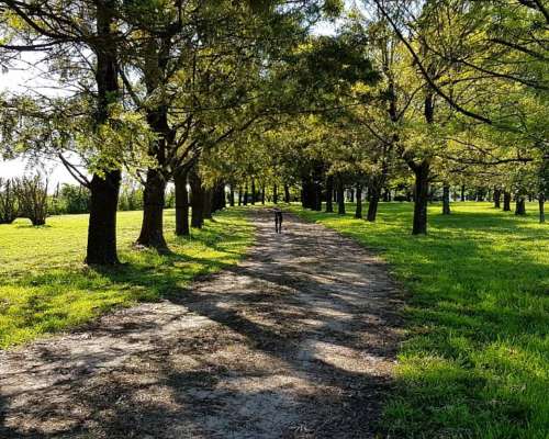 Lindísima Chacra en Excelente Sector de Capilla del Señor