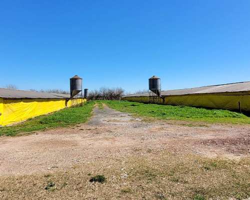 Granja en Venta Sobre la Ruta