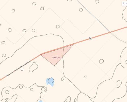 Campo Agricola Ubicado Sobre Ruta 7