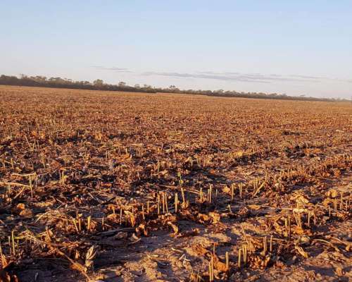 El Bobadal, Jimenez, Santiago del Estero, Argentina