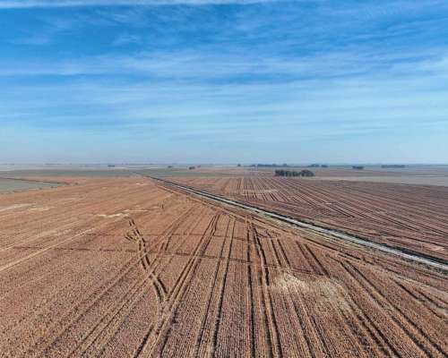 Pcia. de Cordoba - Saturnino M. Laspiur 1336 Has