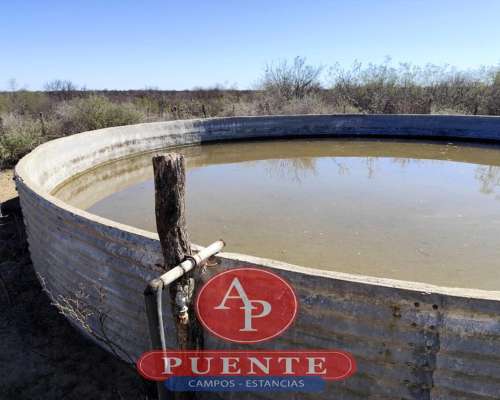 En Venta 6000 HA. Chacharramendi, L.P