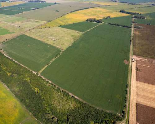 Campo en Venta Arrecifes 93ha