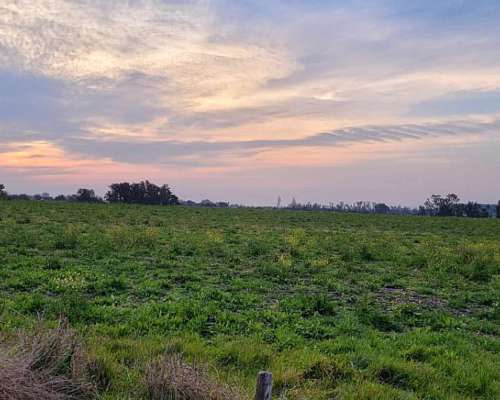 5 Mil M2 en Colón. Entre Ríos