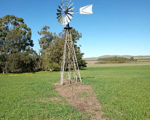 Vendo 70 Has Agrícolas Cnel Pringles