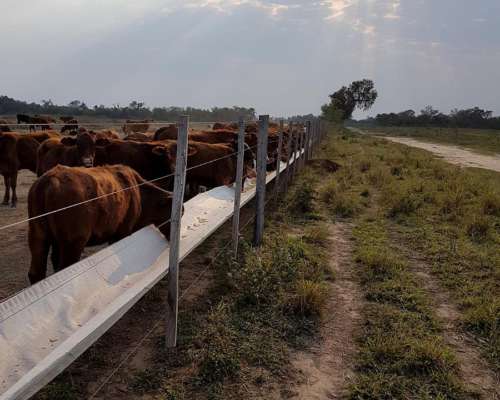 Estancia Agrícola - Ganadera