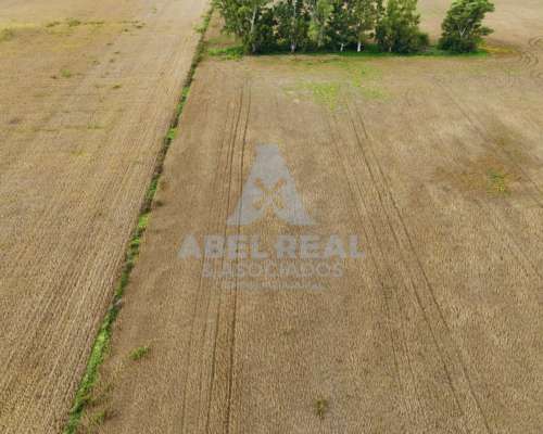35 Ha Bragado Prov. de Buenos Aires