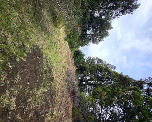 Espectaculares Dos (2) Hectareas en Trevelin