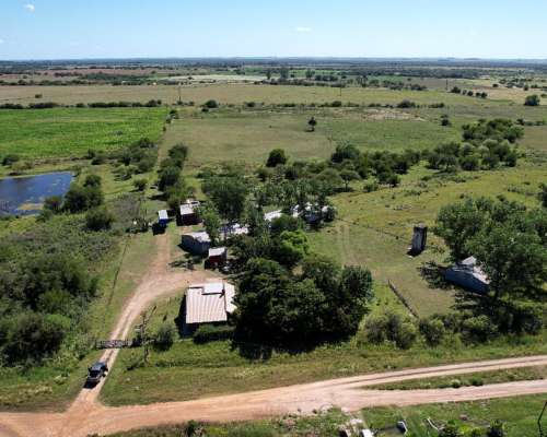 Granja Avícola. Nogoyá Entre Rios