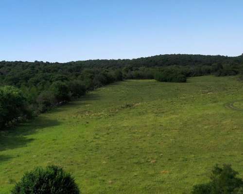 Córdoba Valle de Calamuchita San Ignacio 500 Has Ganaderas