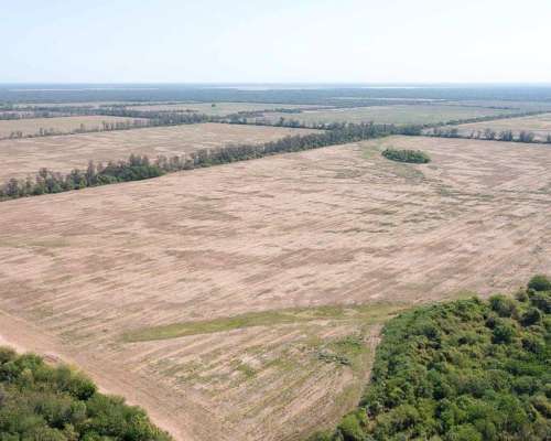 Pcia. de Salta - Embarcacion 1370 Has