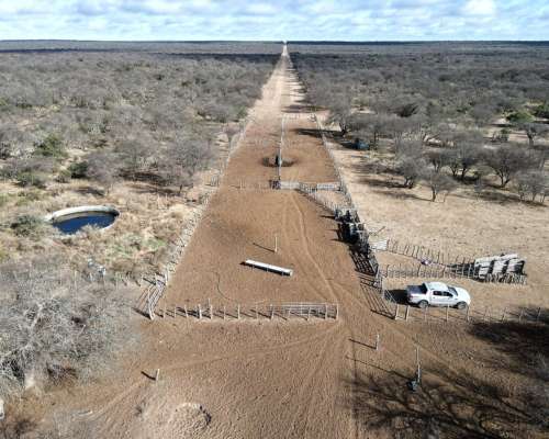 Venta 6500 Ha en Anchorena , San Luis