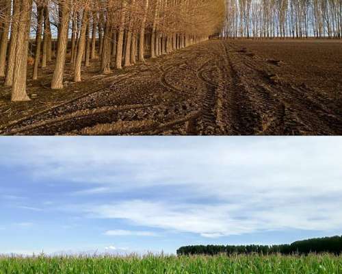 714 Hectáreas - Campo en Malargue Mendoza Argentina