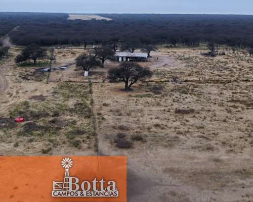 Campo Ganadero en Venta — 3.200 Has Rancul, la Pampa