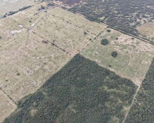 227 HA. Ganadero. Monigotes (santa Fe).