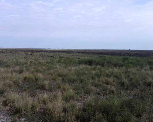 1035has. Ganaderas en Selva, Santiago del Estero.