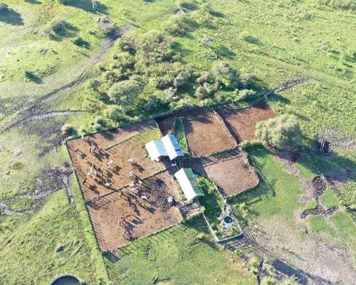 Curuzú Cuatiá, Corrientes - 2.502 Ha