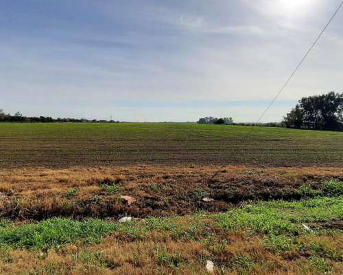 Excelente Campo de 4,5ha Sobre Ruta 188 (múltiples Proyecto)