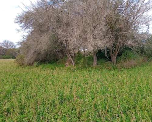 165 Ha Guardamontes. Buen Acceso. Campo Mixto