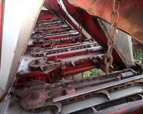 Maicero Mainero 1889 de 6 a 70