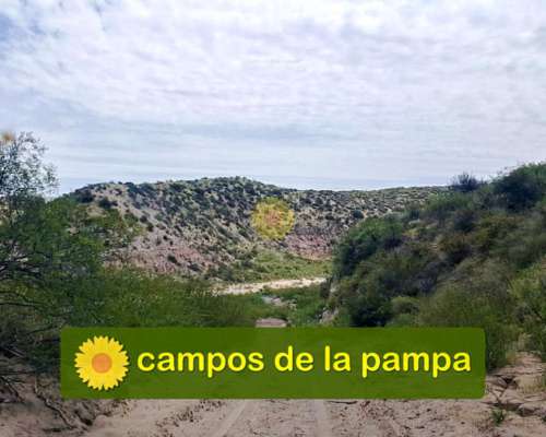 Mendoza - Venta Estancia Ganadera 94.000 Ha