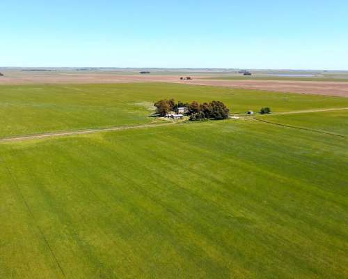 540 Has en Tornquist - BS. AS. - Agrícola - Venta