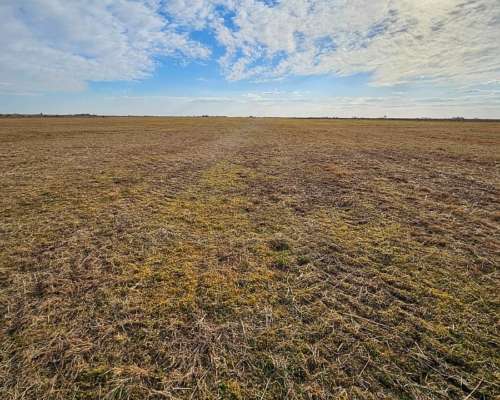 Campo en Ordoñez CBA Agricola Ganadero - Bernasconicampos