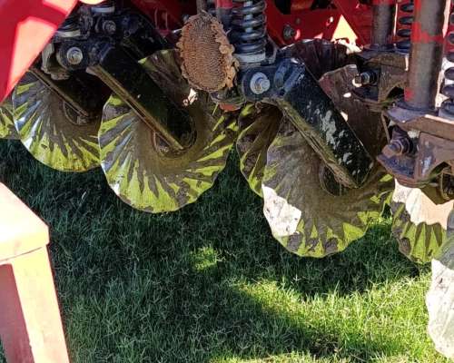 S. G. Fino Crucianelli Pionera 41 a 21 año 2021 con Alfalfer