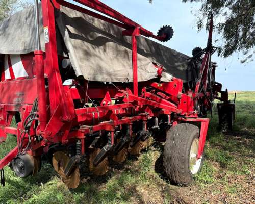 S. G. Grueso Crucianelli Gringa 7035 23 a 35 Precision Plant