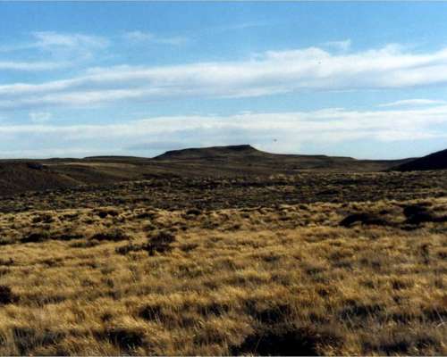 Campo 21000 Has - U$S 15/ha