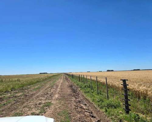 320 Has Mixtas Villegas Cañada Seca