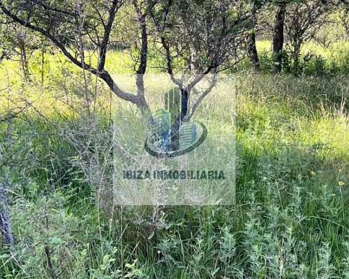 Oportunidad por Tiempo Limitado: Campo Listo para Trabajar