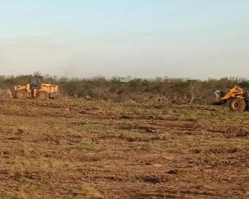 Desmonte en Corrientes y Zona