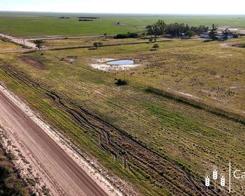 Venta Campo 4.273,7 Has para Siembra a 70 km al Este Tostado