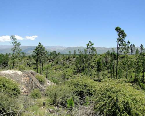 La Cumbrecita Chacras Sobre Asfalto