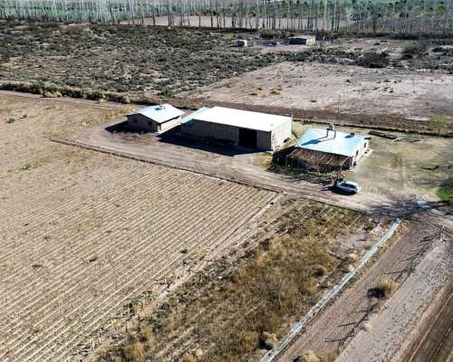 Finca Ideal para Chacra 75ha, Colonia Italia, Lavalle.