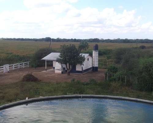 Plataforma Agro–ganadera de Gran Escala, con Agua Asegurada