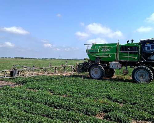 Fumigadora Metalfor Multiple 3200 de 28m - Financiacion