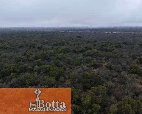 950has en Venta en Villa Mercedes, San Luis