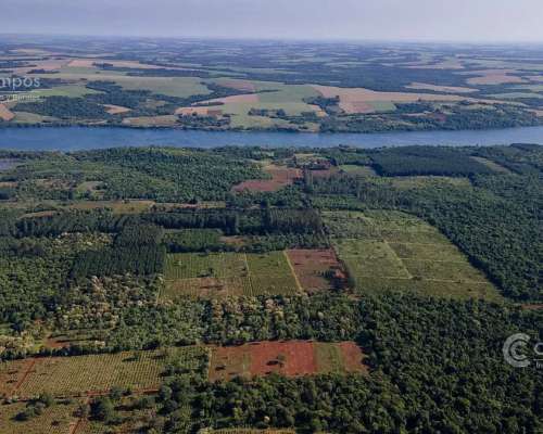 Se Vende Chacra con Yerba en Colonia Naranjito Misiones 31 H