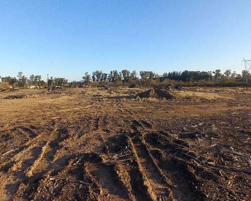 Campo de 30 Hectareas