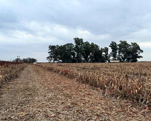 222 Has Agricolas Apto Permuta San Antonio de Litin