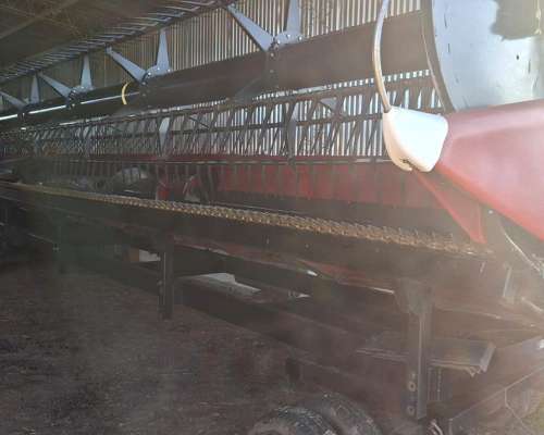 Cosechadora Case IH 7230 año 2017 + Draper Case 2019