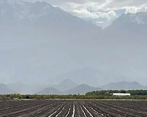 Se Vende Finca de 170ha con Plantaciones de AJO en San Carlo